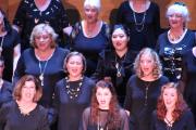 IMG 4751