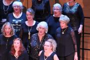IMG 4753