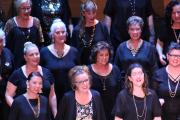 IMG 4755