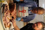IMG 6887