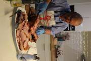IMG 6889