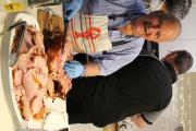 IMG 6891